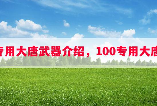 梦幻西游100专用大唐武器介绍，100专用大唐武器性能解析